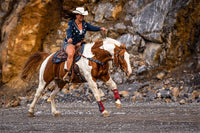 AlpenPad wool felt western pad black