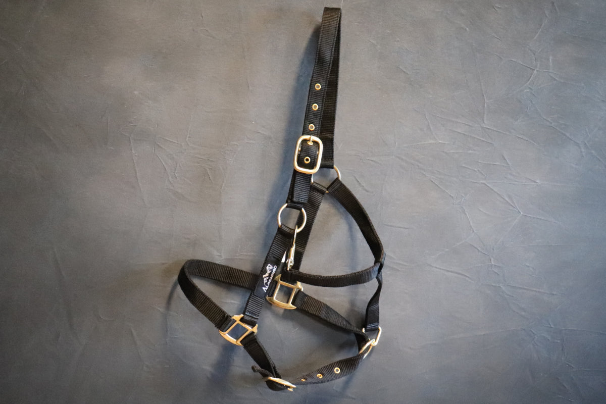 AlpenPad – Halfter schwarz