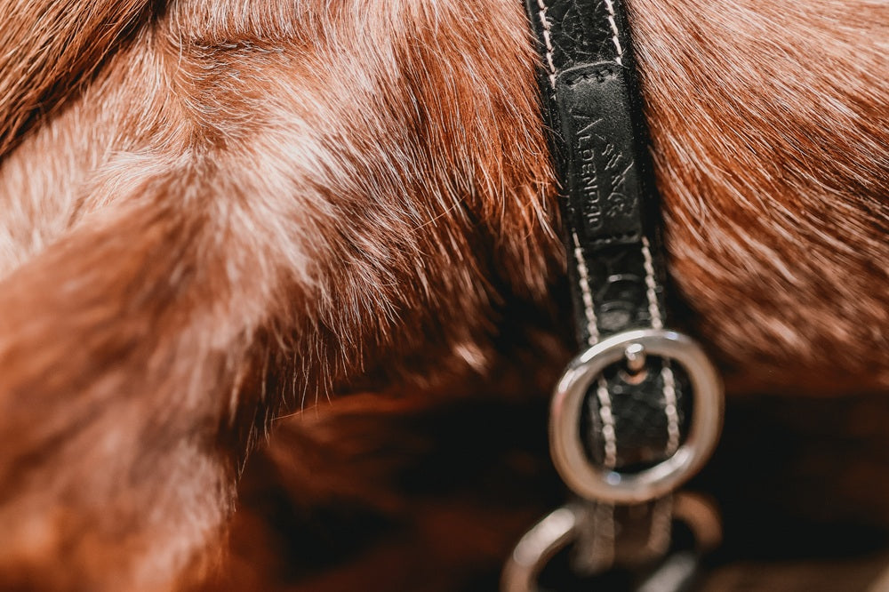 AlpenPad – Pro Line – Lederhalfter