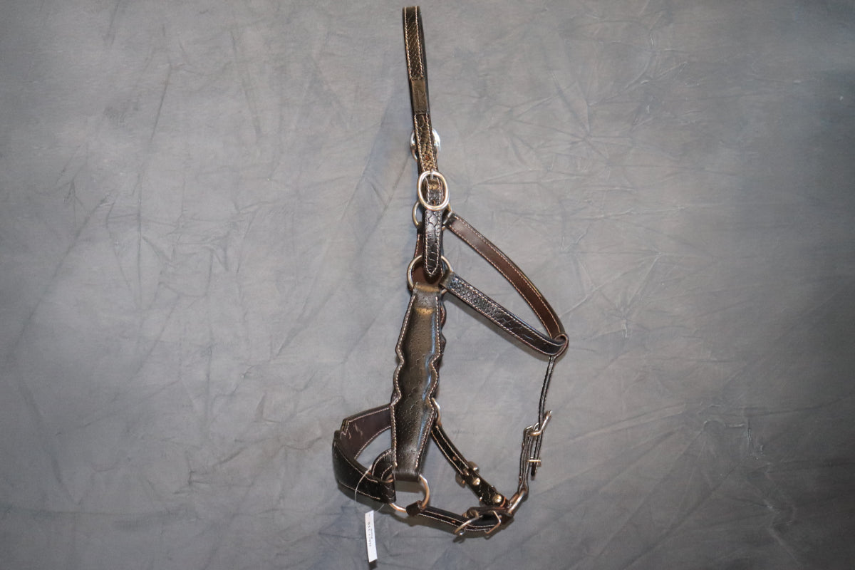 AlpenPad – Pro Line – Lederhalfter