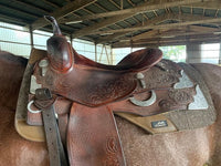 AlpenPad Pro Line – High Quality Performance Westernpad Neopren – Dark Grey - Horse_Art_Bodensee