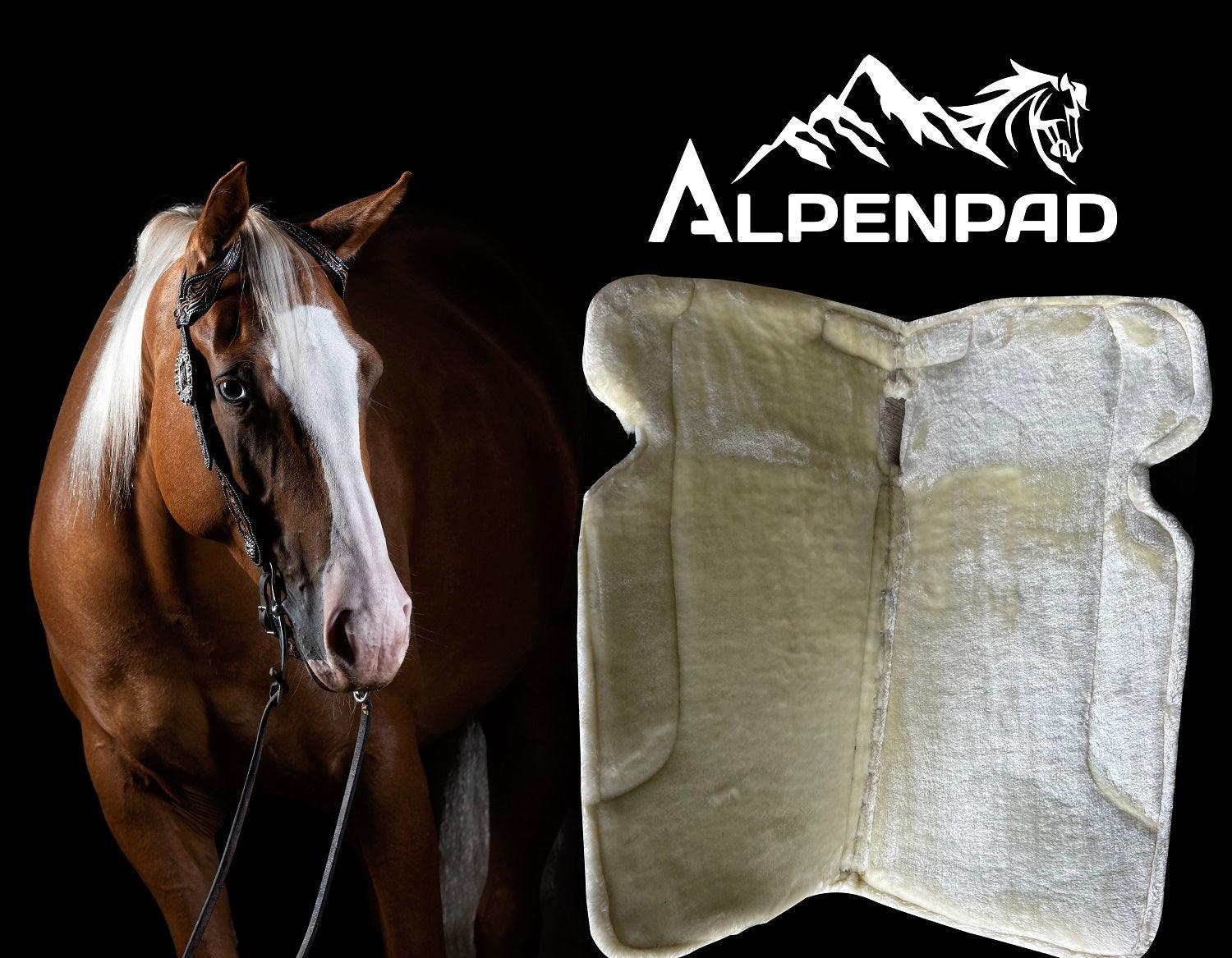 AlpenPad Comfort Line – Performance Filzpad mit Fellunterseite – Türkis - Horse_Art_Bodensee