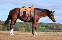 AlpenPad Showblanket #22 *blau* - Horse_Art_Bodensee