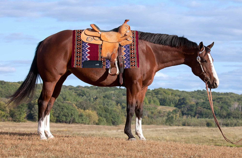 AlpenPad Showblanket #25 *rot, glitzernd* - Horse_Art_Bodensee