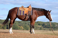 AlpenPad Showblanket #3 *Rot, lila, braun, creme* - Horse_Art_Bodensee