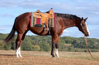 AlpenPad Showblanket #36 *rot* - Horse_Art_Bodensee