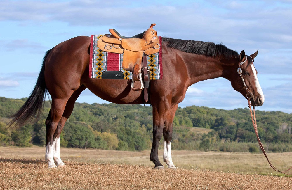 AlpenPad Showblanket #36 *rot* - Horse_Art_Bodensee