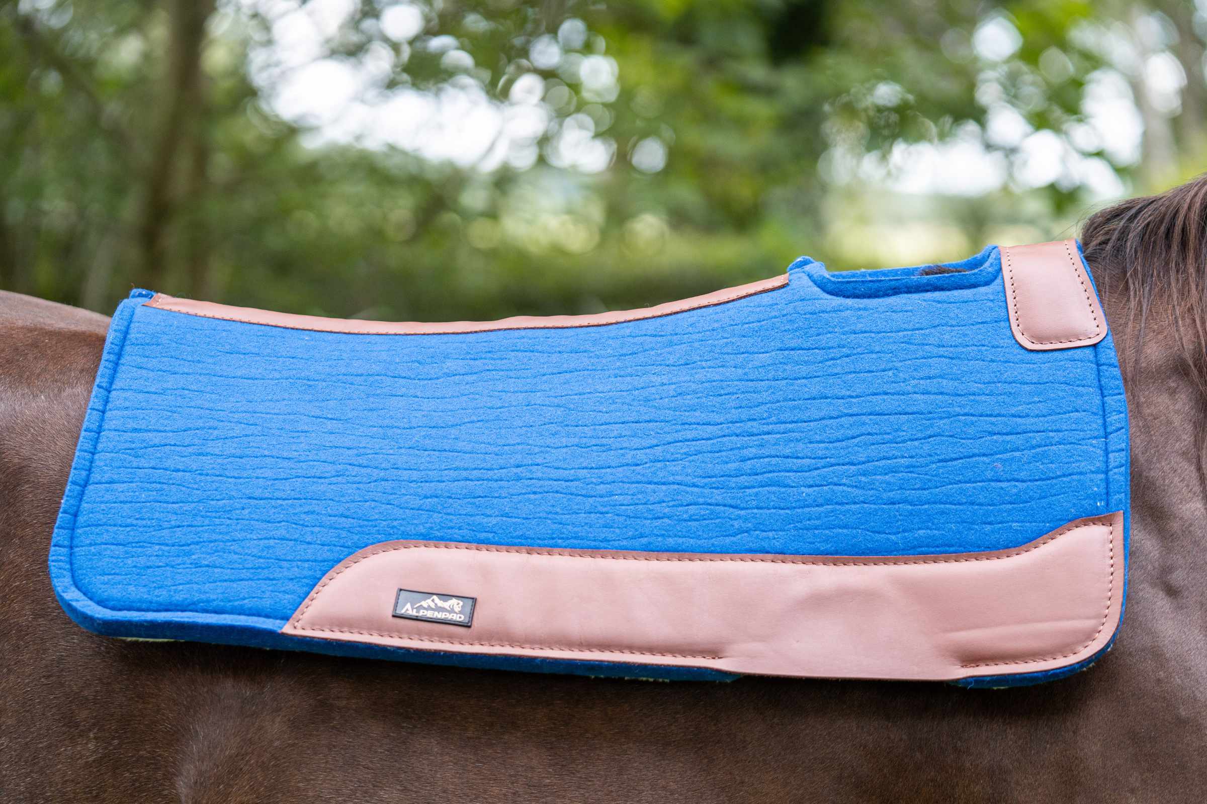 *Shooting-Ware*  AlpenPad Comfort Line Royal Blau / helles Leder