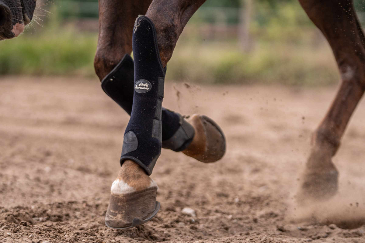 AlpenPad – EquiShield Knee Protect Gamaschen