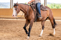 AlpenPad – EquiShield Knee Protect Gamaschen