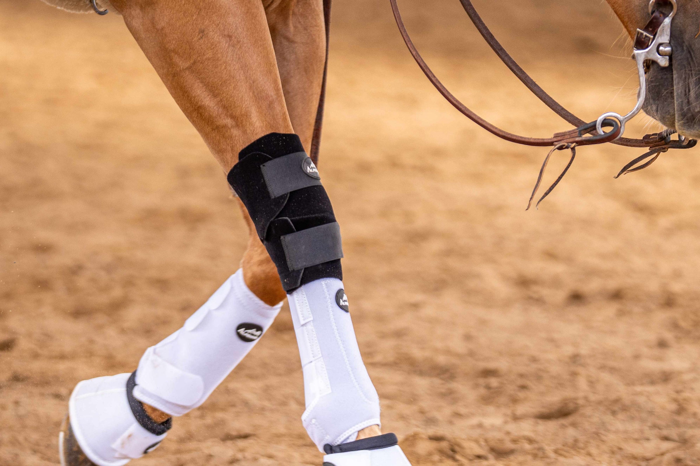 AlpenPad – EquiShield Knee Protect / Paar (2 Stück)