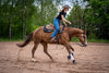 AlpenPad – Besticktes Baumwoll Shirt  – Schwarz - Horse_Art_Bodensee